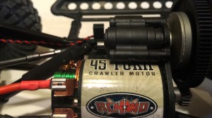 Axial Dingo RTR